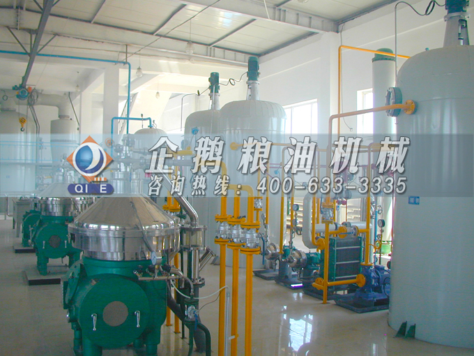 如何投資建設(shè)棕櫚油加工廠？企鵝糧油機械在線為您答疑解惑(圖2)