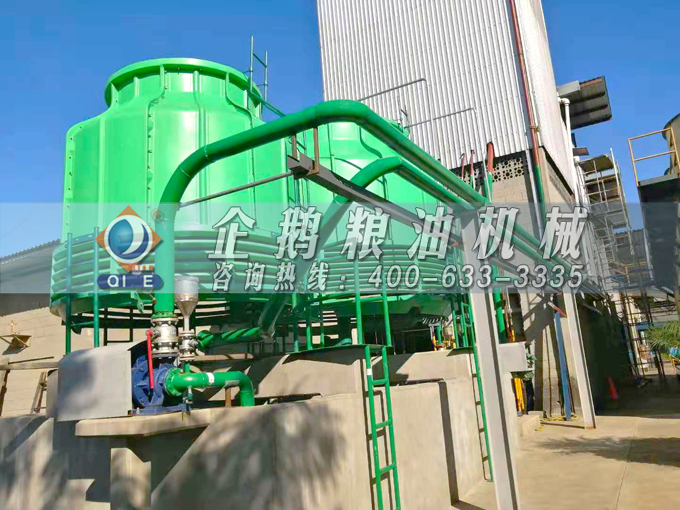 如何投資建設(shè)棕櫚油加工廠？企鵝糧油機械在線為您答疑解惑(圖3)