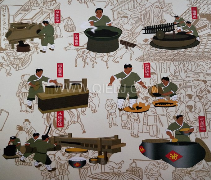 芝麻油提取加工，企鵝糧油機(jī)械生產(chǎn)色香味俱佳的油脂(圖2)
